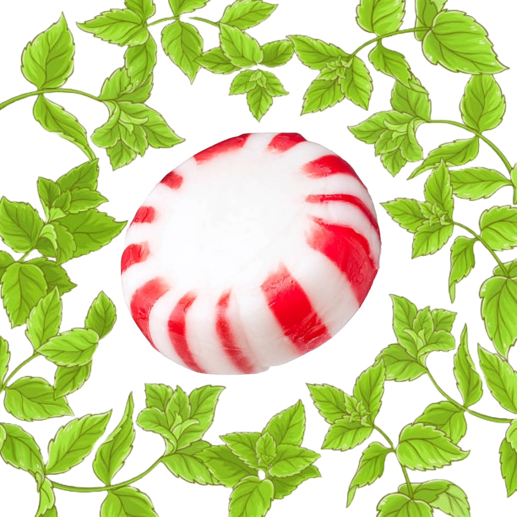 Sarah's Candy Factory Starlight Peppermint Candy Bulk - 1.5 lb Individually Wrapped