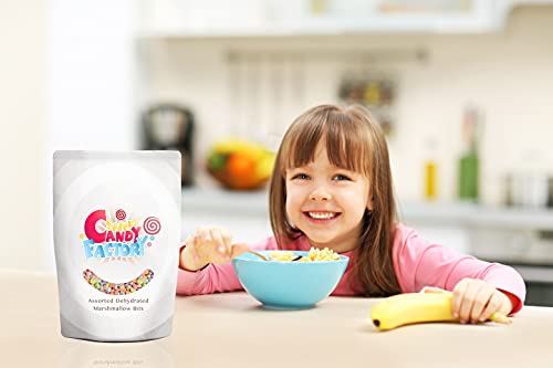 Sarah's Candy Factory Assorted Dehydrated Marshmallow Bits (1 lb - 2 lbs)