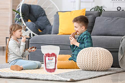 Sarah's Candy Factory Cinnamon Disc Hard Candy - 3 lbs