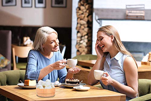 Sarah's Candy Factory Vegan Jumbo Vanilla Marshmallows Jar