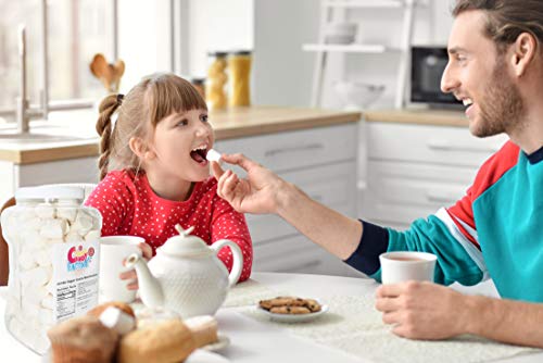 Sarah's Candy Factory Vegan Jumbo Vanilla Marshmallows Jar